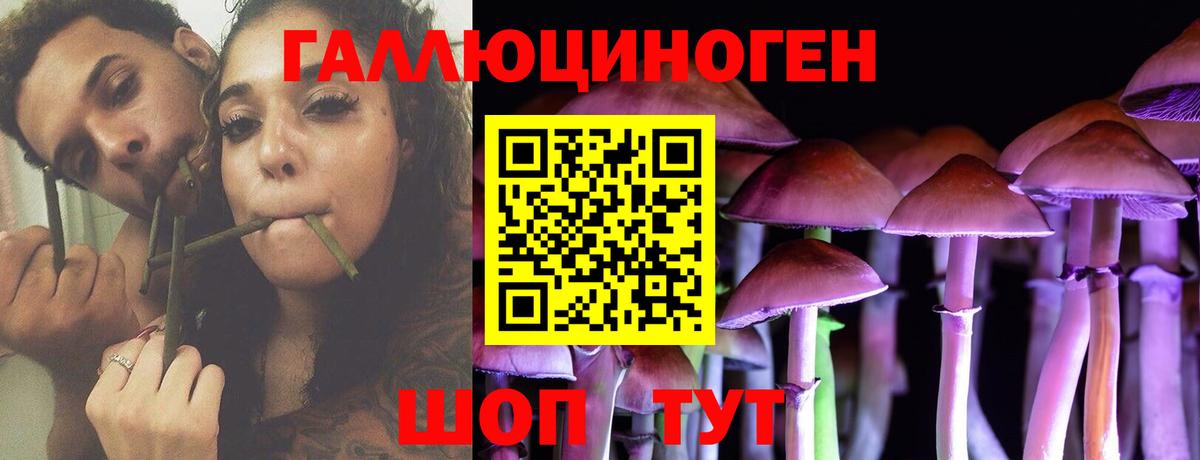 Фурманов  Галлюциногенные грибы Magic Shrooms  Вход с VPN  Псилоцибиновые грибы MAGIC MUSHROOMS 